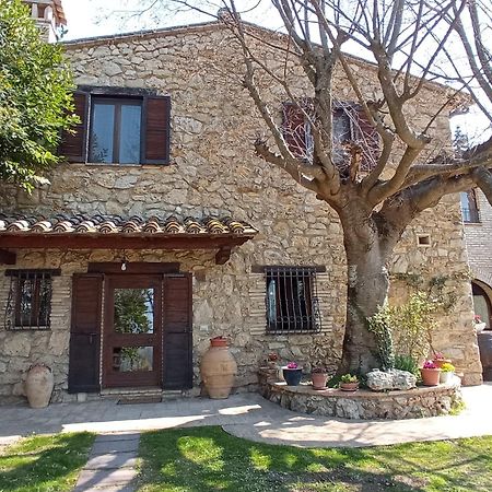 All'Ombra Di San Damiano Ассизи Экстерьер фото