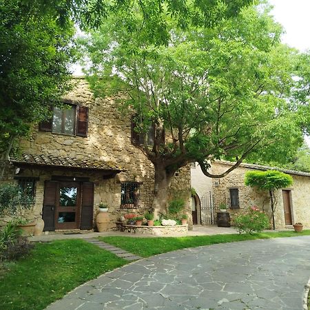 All'Ombra Di San Damiano Ассизи Экстерьер фото