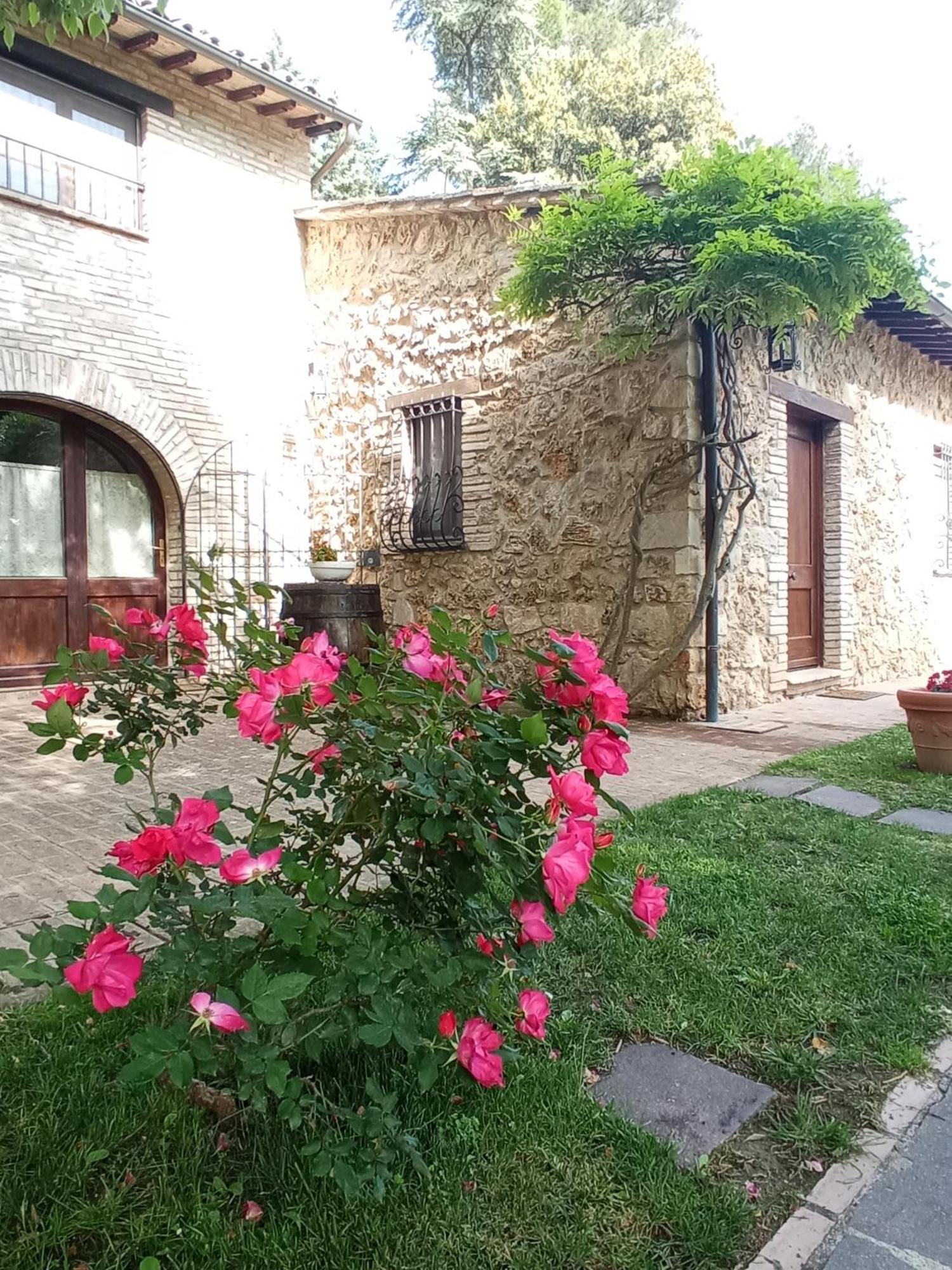 All'Ombra Di San Damiano Ассизи Экстерьер фото