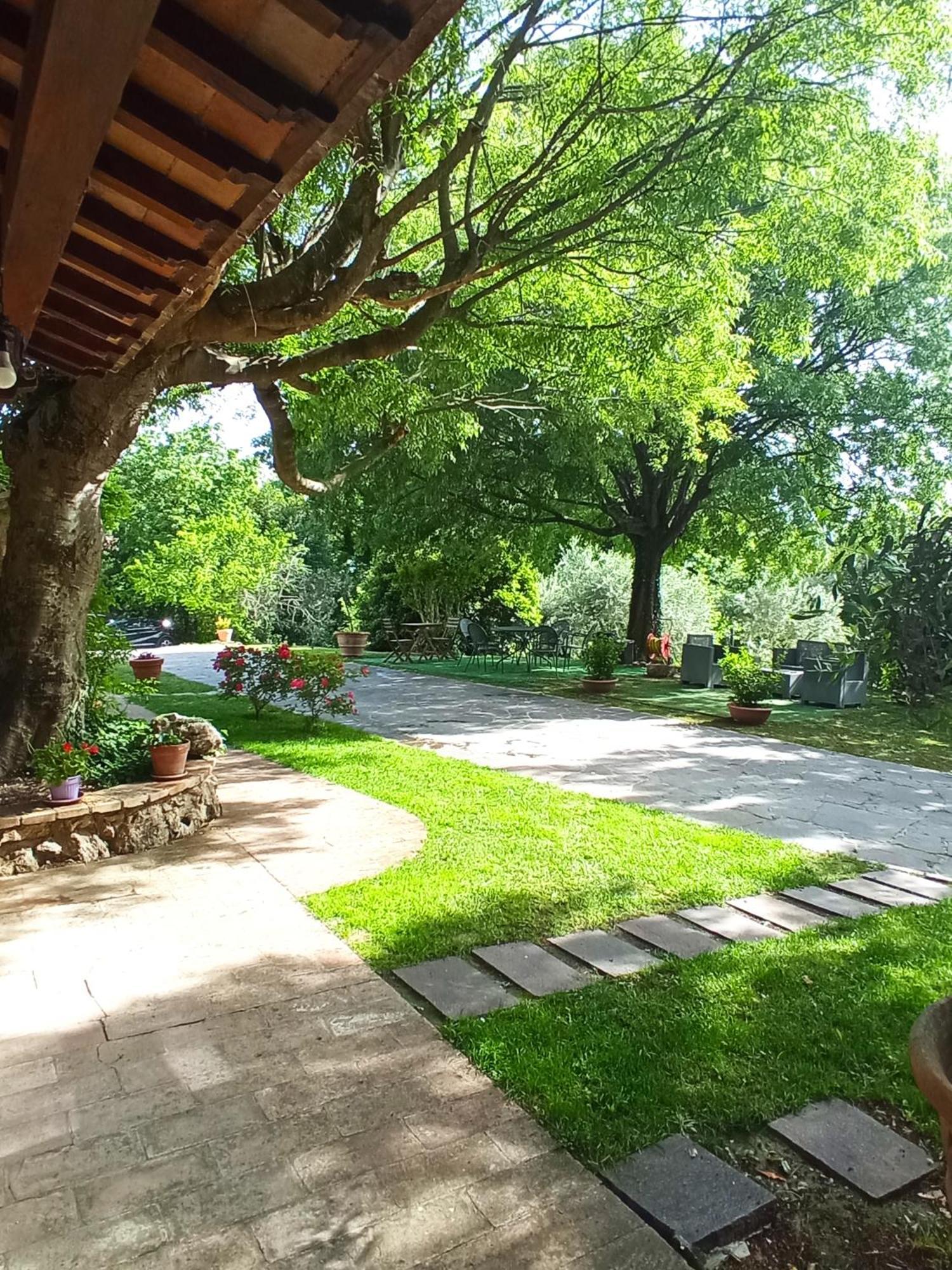 All'Ombra Di San Damiano Ассизи Экстерьер фото