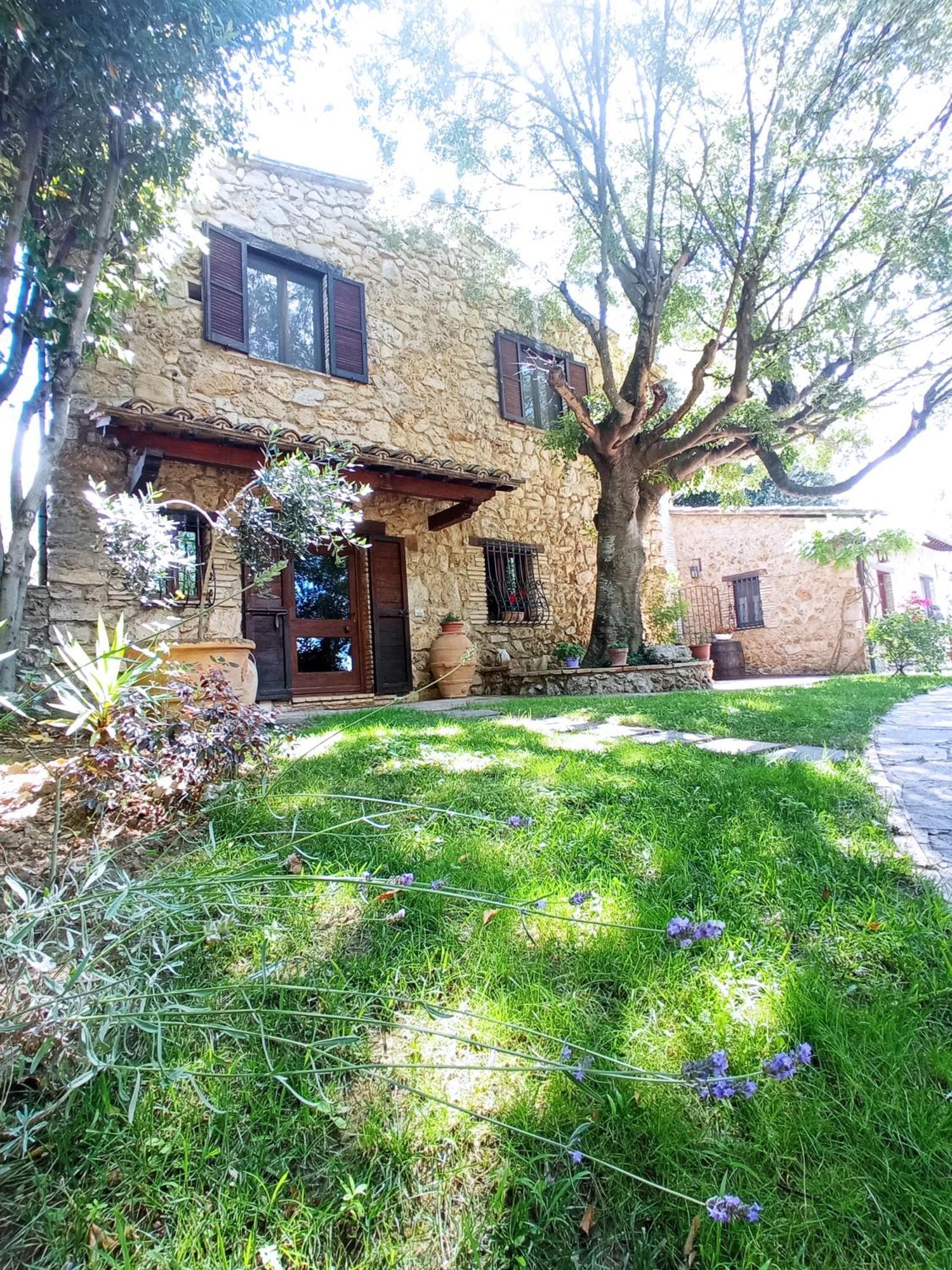 All'Ombra Di San Damiano Ассизи Экстерьер фото