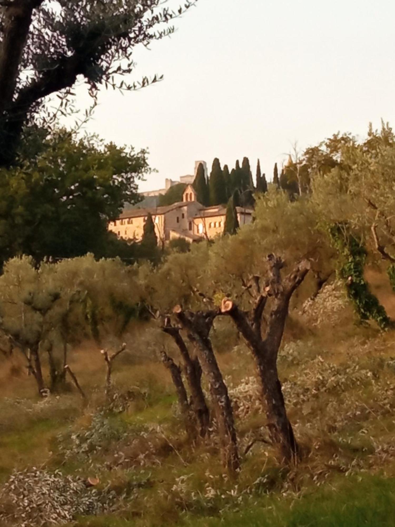 All'Ombra Di San Damiano Ассизи Экстерьер фото